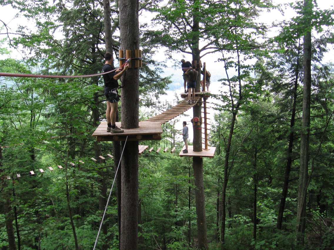 A few of the people on top of trees